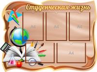 Стенд Студенческая жизнь на 5 карманов А4 коричневый